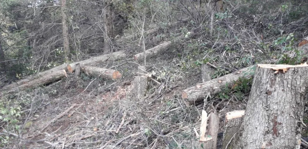 No es algo nuevo pero no han podido detener la situación.