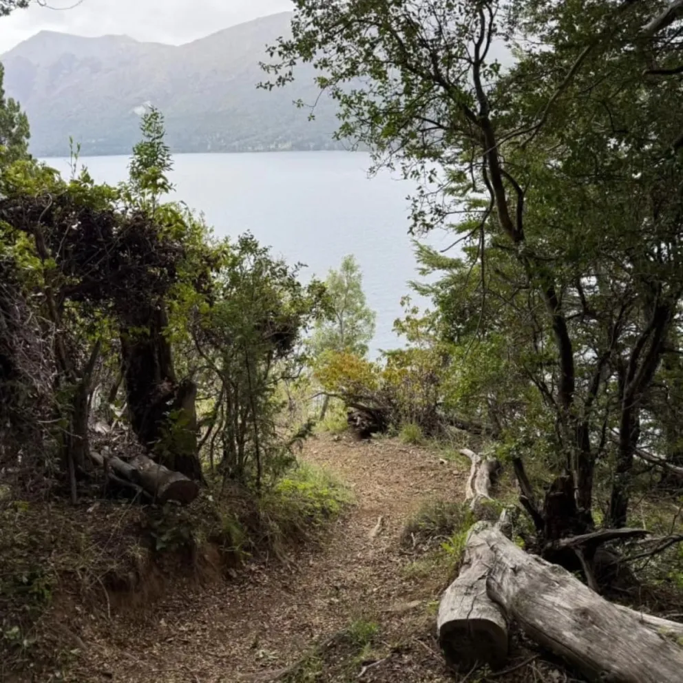 Se realizaron tareas de mantenimiento en la senda Playa Muñoz – Baqueanos. Foto Parque Nacional Nahuel Huapi.