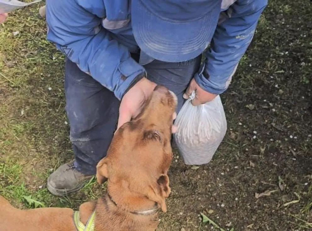 Una historia que conmueve y deja una enseñanza profunda sobre el valor de la tenencia responsable. Foto Municipalidad de Bariloche.