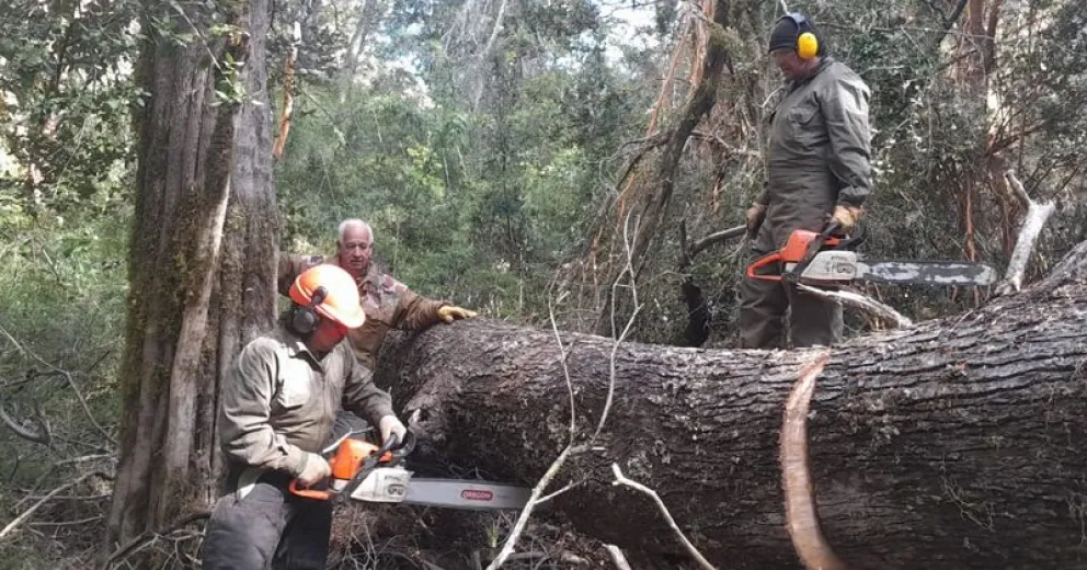 Fomentando el turismo responsable, el disfrute de los espacios públicos y el respeto por el patrimonio ambiental. 
