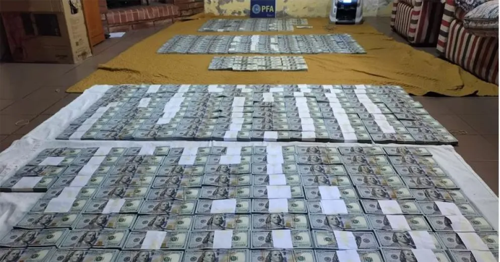 La red manejaba millones de pesos y dólares por el contrabando de metales. Foto: gentileza PFA