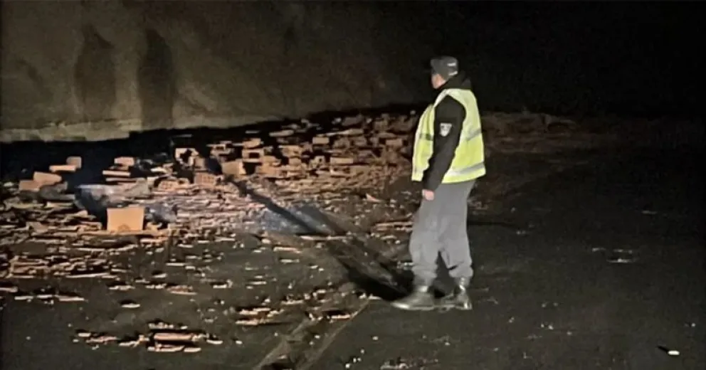 Afortunadamente el chofer resultó ileso pero el incidente generó demoras en el tránsito.