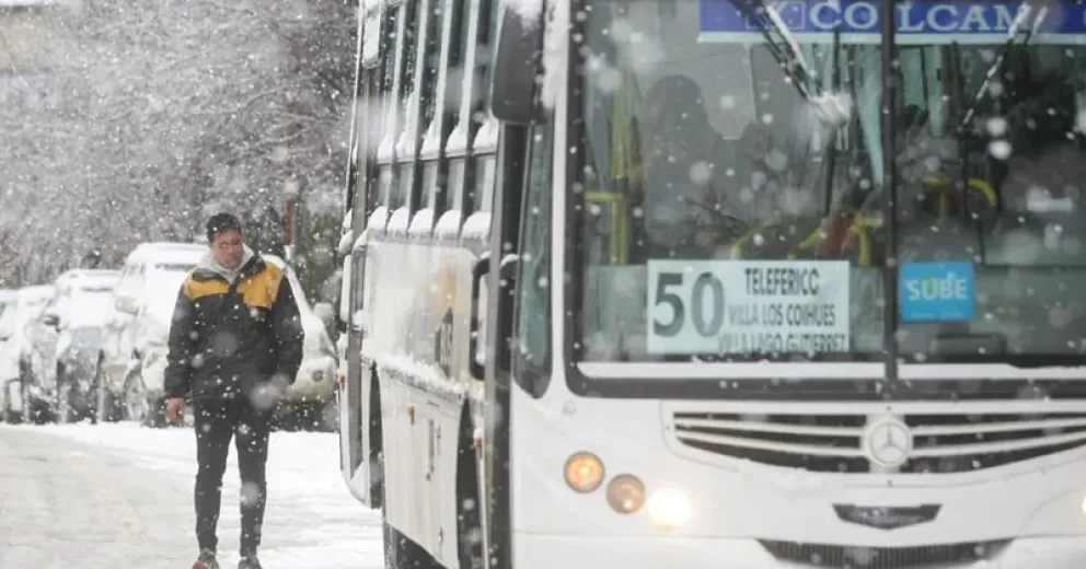 Un micro de la línea 50 estuvo involucrado en el choque. Imagen de archivo.