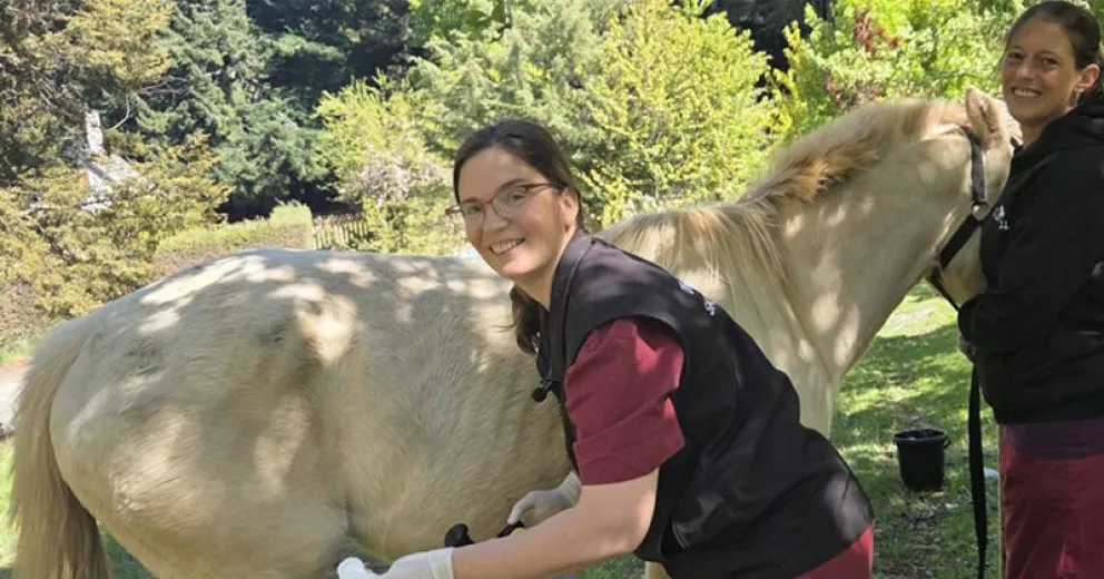 Continúan curando sus heridas y mejorándole la calidad de vida.