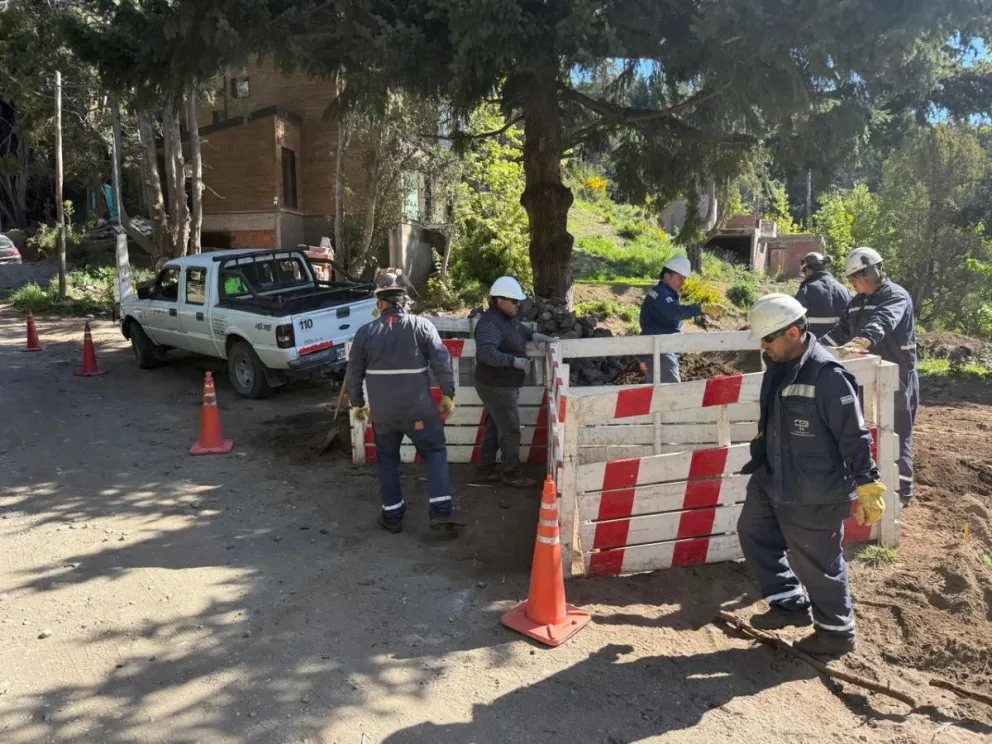 Las tareas se desarrollan en la zona de Llao Llao.