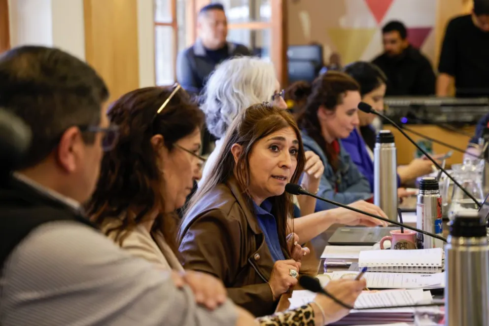 Fue aprobado por mayoría, el proyecto de Roxana Ferreyra que establece un marco regulatorio al servicio de transporte de pasajeros a traves de aplicaciones