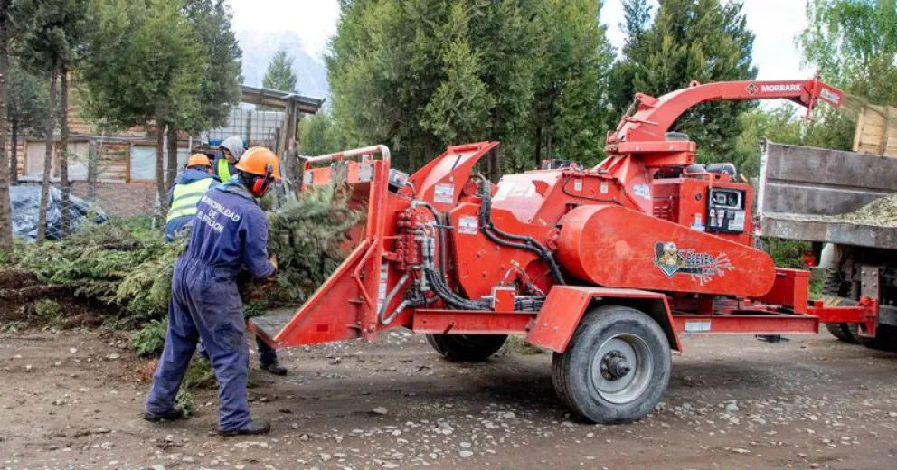 El chip obtenido puede reutilizarse como biocombustible o compost.