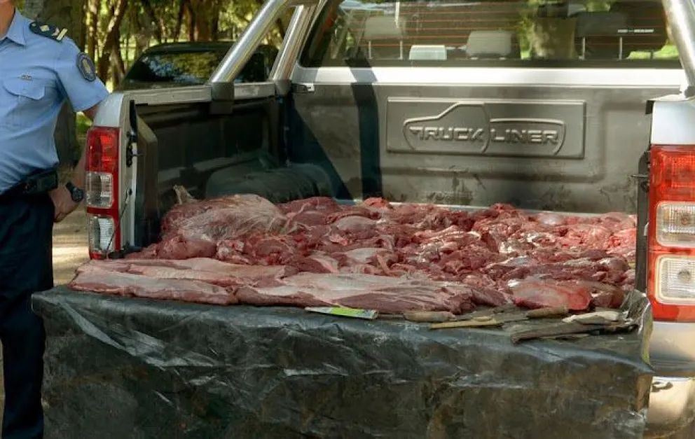 Decomisaron casi 2 mil kilos de carne irregular en locales de El Bolsón.