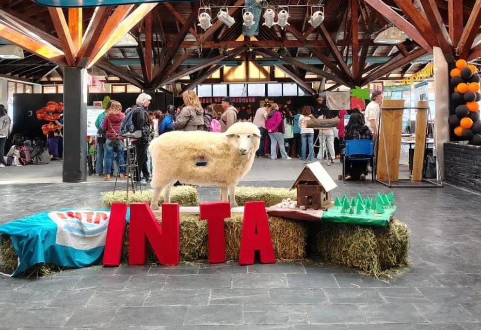 Las escuelas de Bariloche visitaron la propuesta realizada en el Puerto San Carlos. Fotos INTA Bariloche