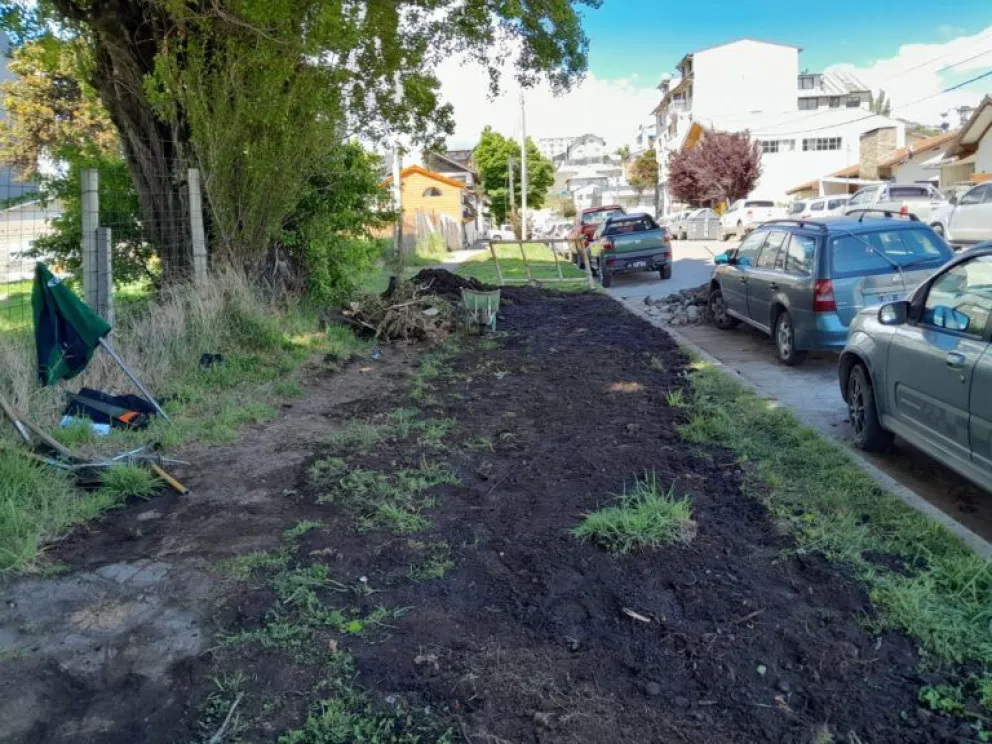 Estos trabajos forman parte del plan permanente de mantenimiento que impulsa el Municipio.
