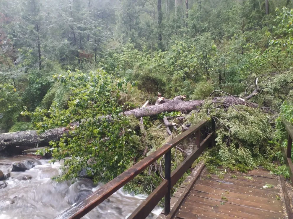 Cierran la conexión hasta nuevo aviso. 