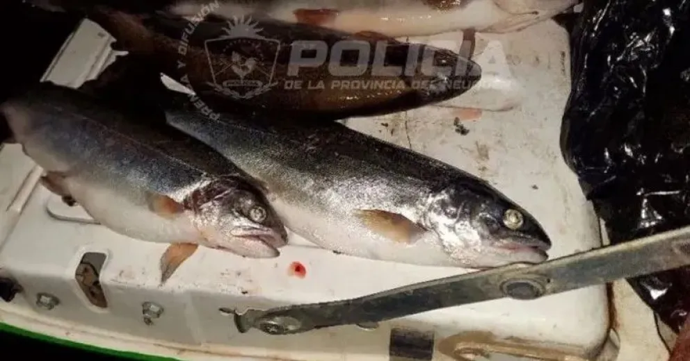 Los operativos abarcaron sectores de zonas rurales y de pesca como Bahía Valentina, Limay Chico, Embalse Alicurá, Malalhuaca, Estancia Chacabuco y el área Confluencia–Traful.