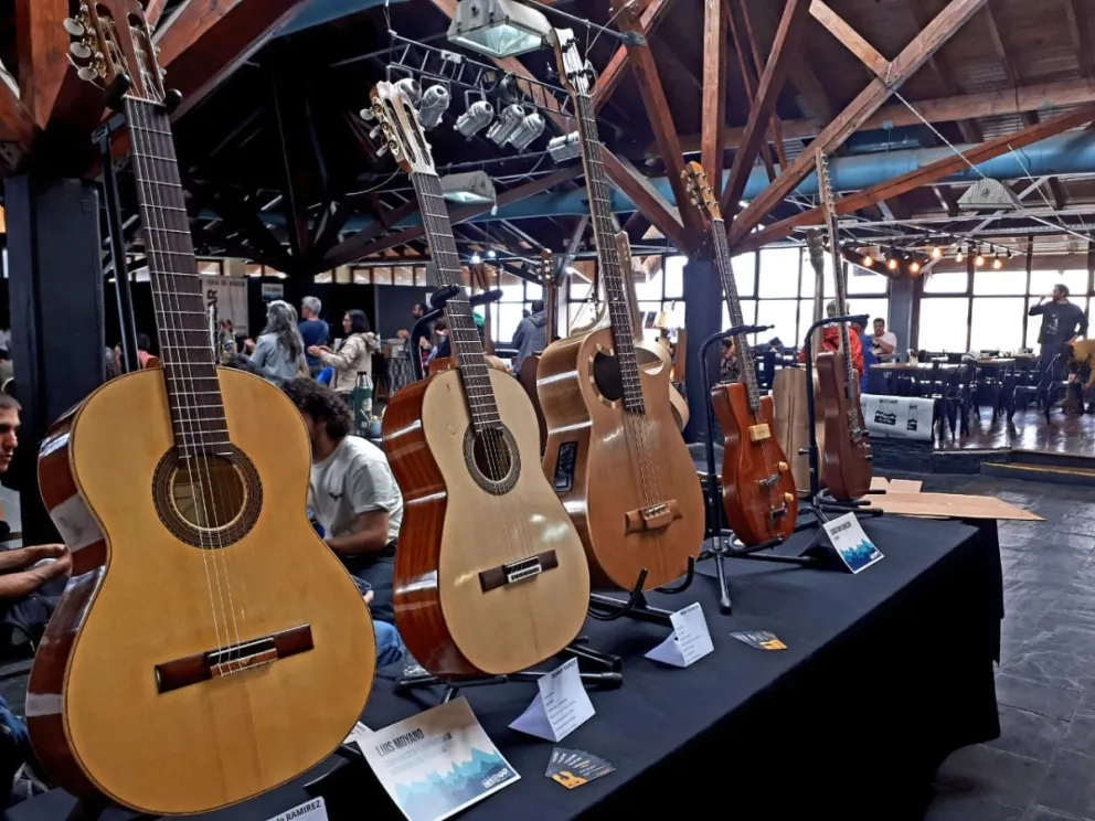 La música delinea un perfil que también define a Bariloche (imágenes gentileza). 