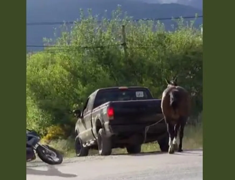 Las autoridades recordaron la importancia de extremar la precaución en esa zona de la Ruta 40