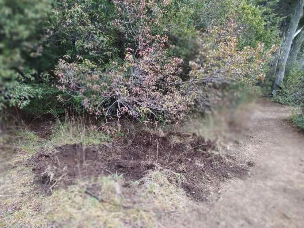 Las marcas en el suelo dejadas por el paso de los animales.