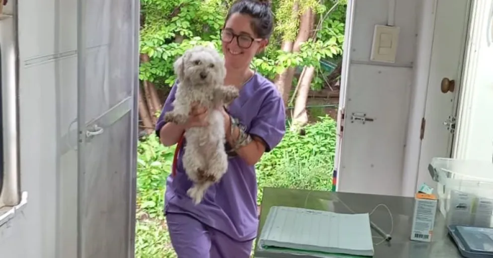 Por más mascotas castradas y menos abandono de animales.