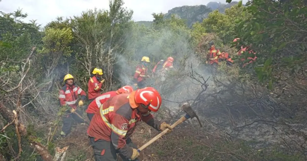 El decreto indica que los fondos asignados deberán contemplar la adquisición de bienes, servicios y obras necesarias,  gastos operativos y extraordinarios que faciliten la respuesta ante posibles emergencias.