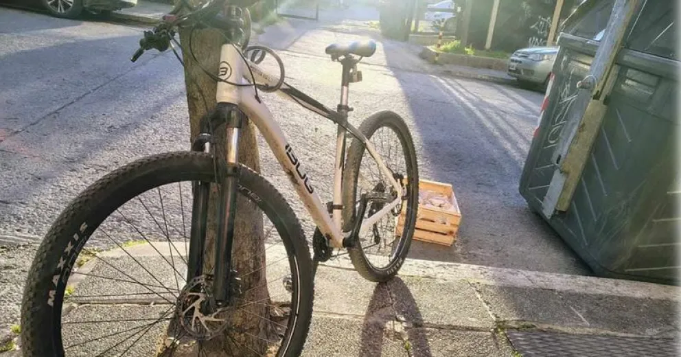 Pide la ayuda de la comunidad para recuperarla.