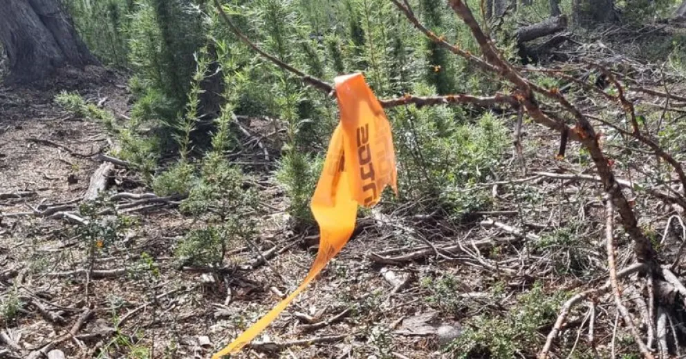 Recuerdan que cada evento deportivo debe contar con un plan de desmontaje y remoción de residuos.