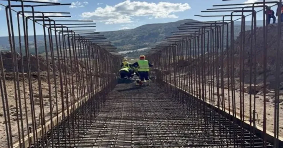 Aseguran que se tomaron todos los recaudos necesarios para no dañar las araucarias y cuidar el ambiente.