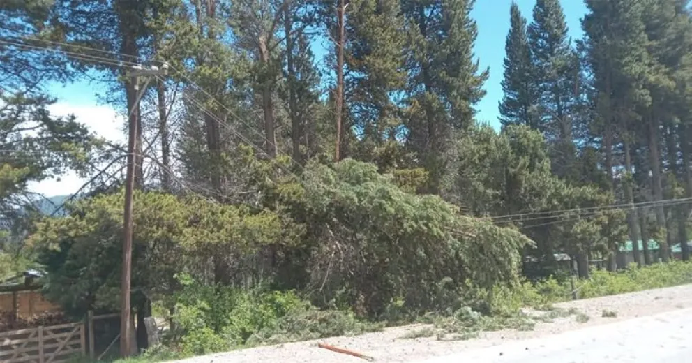 El servicio se va reestableciendo a medida que el fenómeno meteorológico lo permita.
