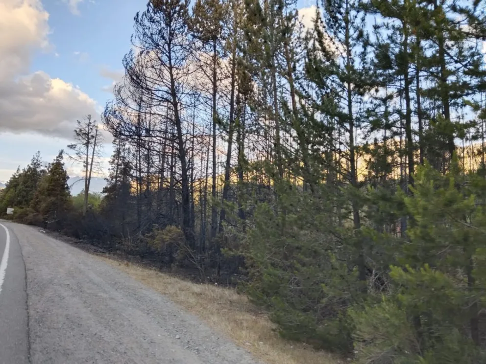 Se vienen días e temperaturas altas y sequía en la región andina. 