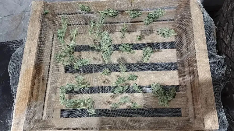 El operativo dio como resultado el secuestro de varios elementos