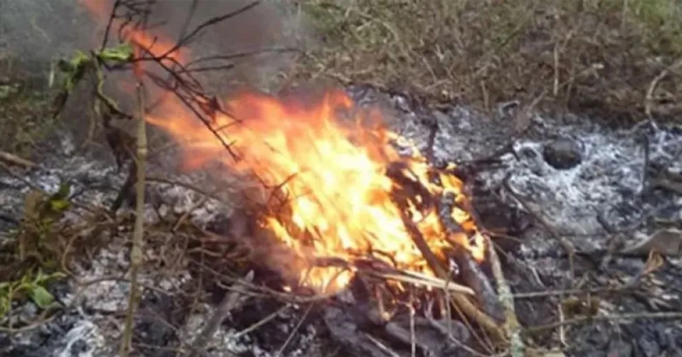 El Municipio recuerda la importancia de actuar con responsabilidad y cuidado.