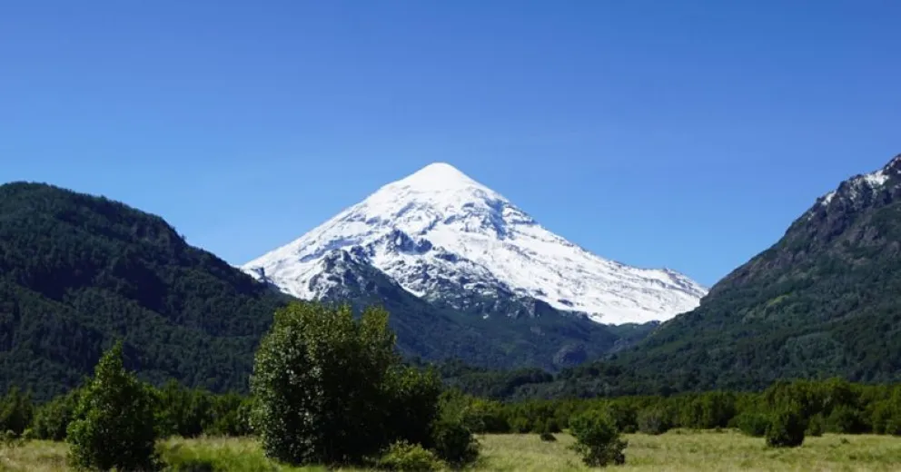 La caza reglamentada es fundamental. 