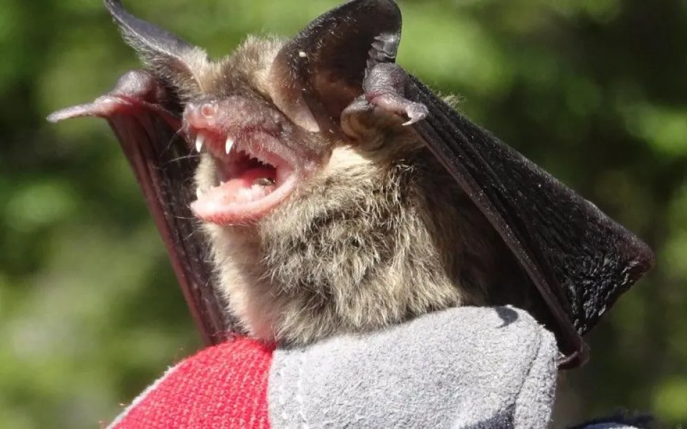 Uresa remarcó que la detección temprana y la rápida respuesta forman parte del protocolo habitual.