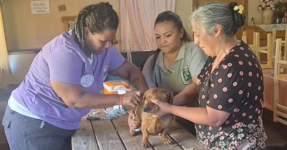La vacunación antirrábica es obligatoria.
