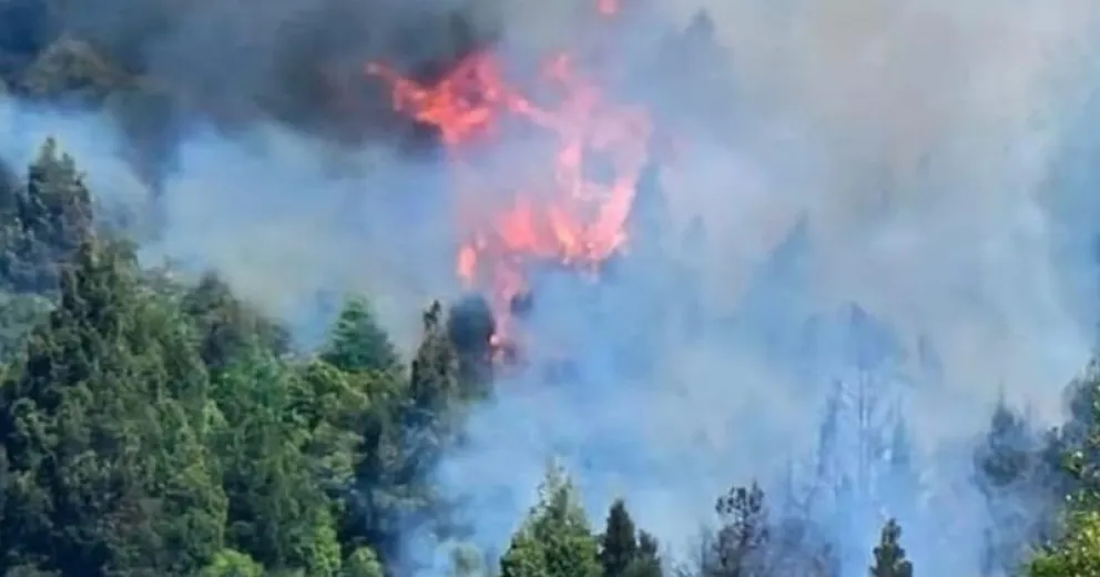 Solicitan colaboración a los conductores que circulan por la zona. 
