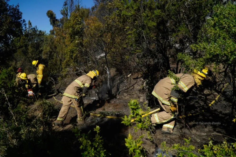 Estas medidas son estrictamente preventivas y buscan optimizar las tareas que se están llevando adelante frente a esta situación.