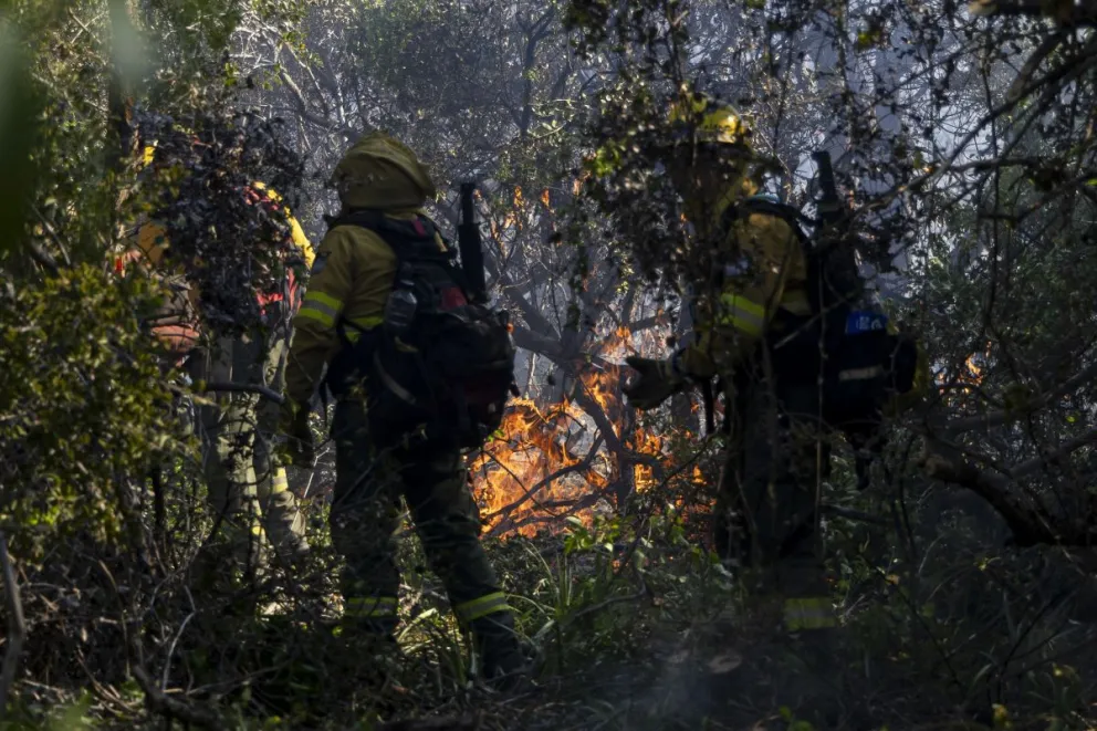 Las denuncias continúan permanentemente sobre fogones y quemas / Foto Euge Neme 
