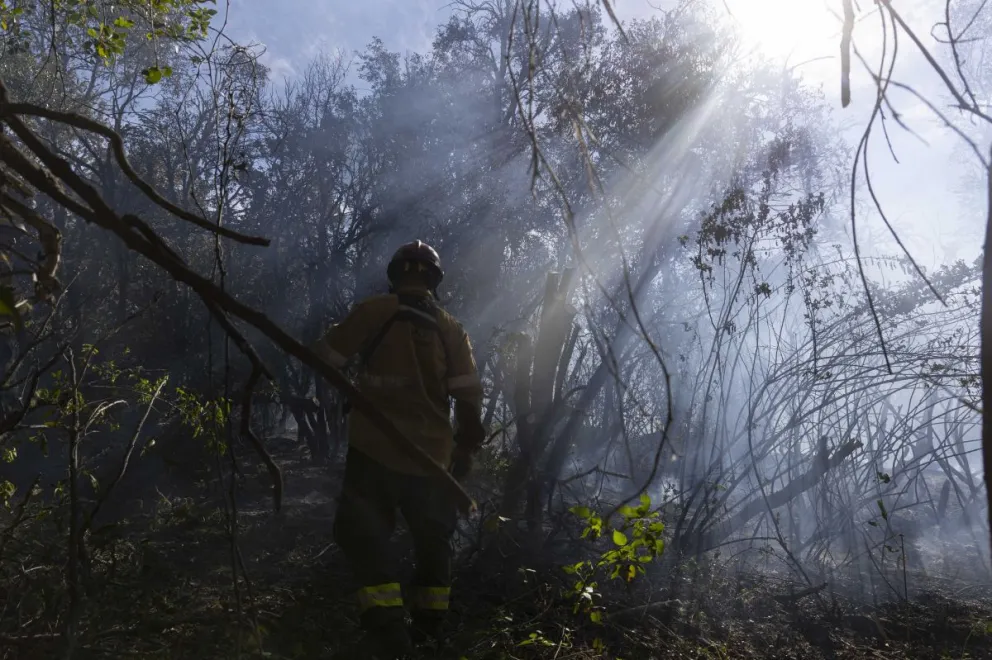 Ocho fueron los focos que se desataron solamente en un día en el cerro Otto / Fotos Euge Neme 