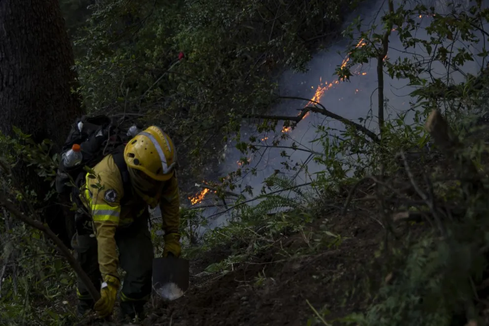 Ante la detección de columnas de humo o situaciones sospechosas, se pide dar aviso inmediato a los organismos de emergencia / Foto Euge Neme 