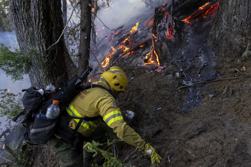 Solicitan que Nación declare el estado de emergencia en las provincias afectadas (foto: Eugenia Neme).