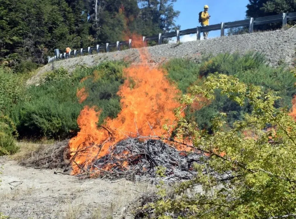 El Ejecutivo neuquino busca fortalecer el cumplimiento de las normas sobre uso del fuego / Foto Diario Andino