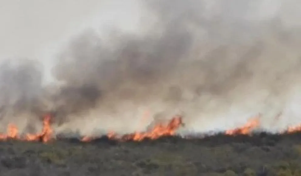 Por el momento, las autoridades continúan monitoreando el avance del incendio y coordinando tareas para evitar que alcance áreas pobladas.