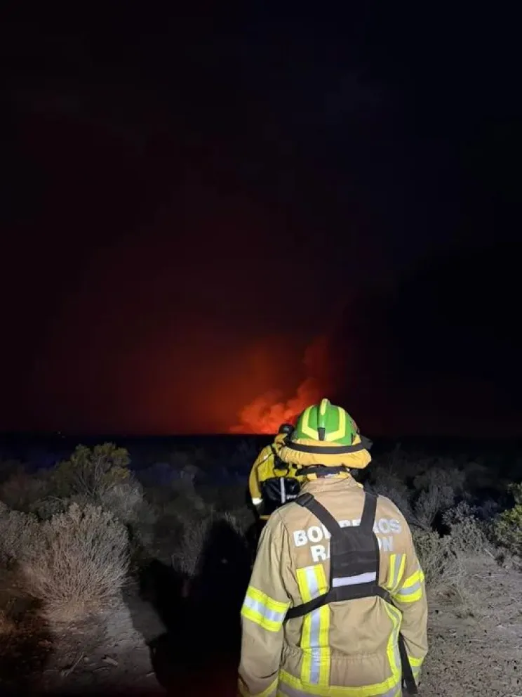 Combaten incendio forestal provocado por la caída de un rayo en campos de Trelew. Foto: Gentileza ADN Sur