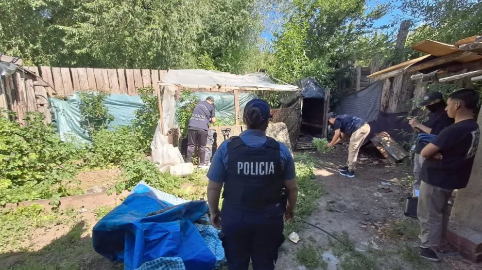 El trabajo coordinado permitió detectar este delito no previsto.