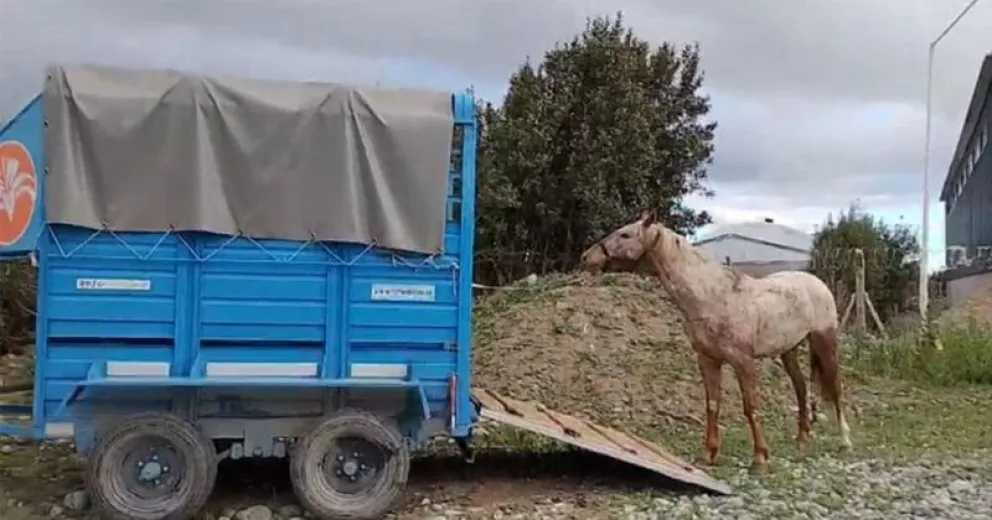 Fue resguardado por personal municipal.