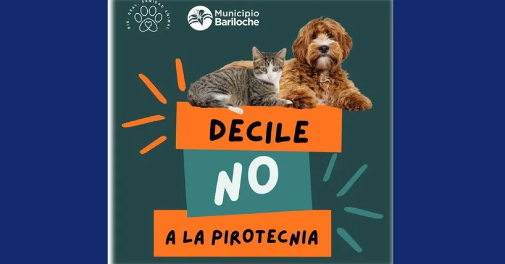 Lamentablemente hay personas que no acatan la ley vigente.