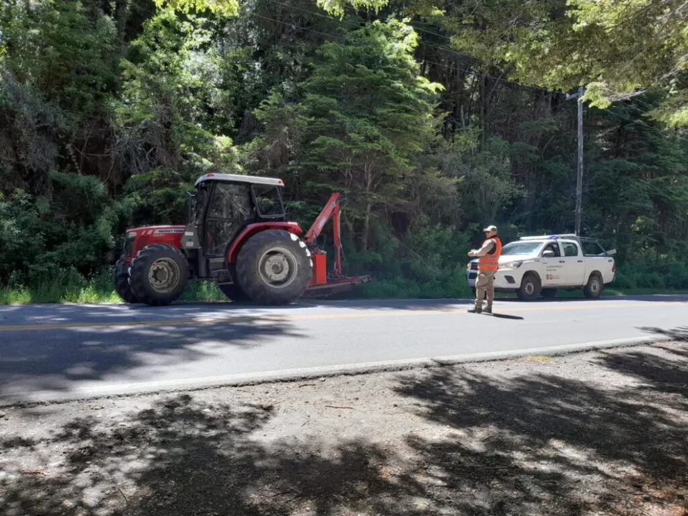 Estas acciones forman parte del esfuerzo conjunto y permanente que desarrolla el Municipio para cuidar nuestros entornos naturales.