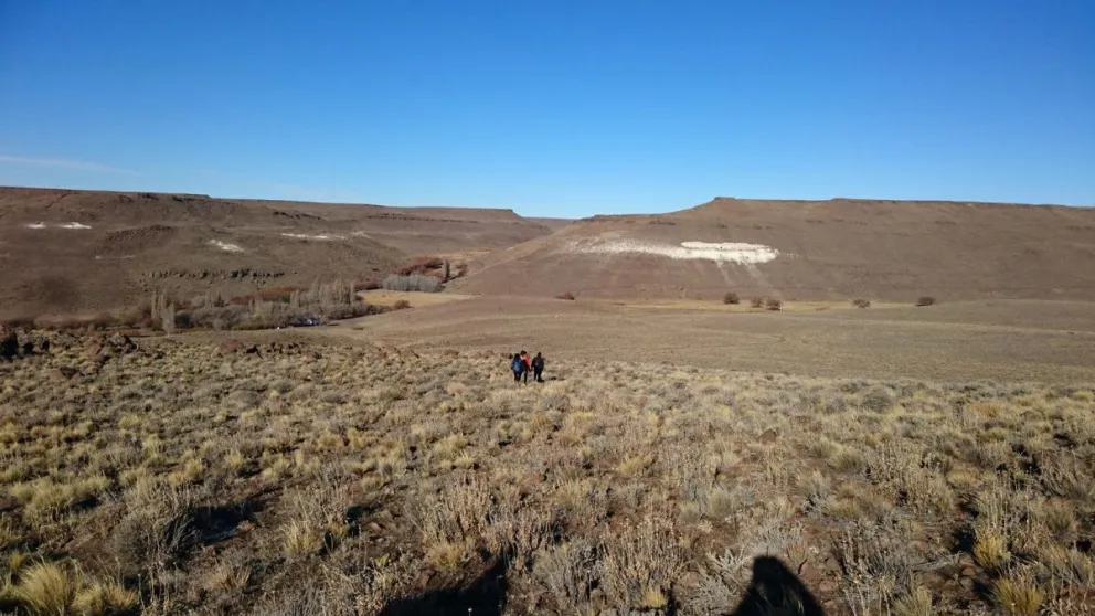 El imputado fue asistido por la defensa pública penal quien realizó cuestionamientos a la califJacicación legal atribuída / Foto ilustrativa 