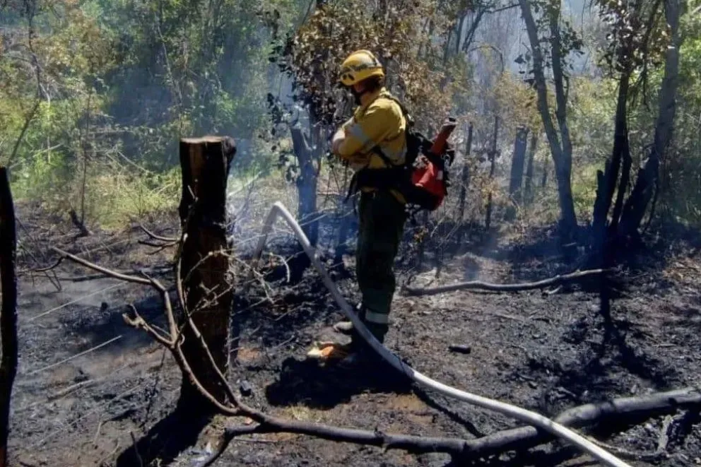 Las autoridades recordaron que la región se encuentra bajo alerta meteorológica, lo que incrementa el riesgo de propagación del fuego / Fotos Noticias del Bolsón