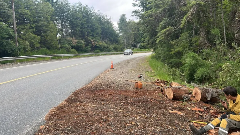 Las tareas se desarrollan con el objetivo de despejar completamente el sector.