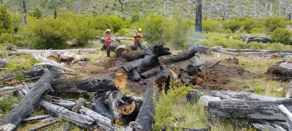 En las próximas horas, las tareas seguirán concentradas en el flanco izquierdo y la cola del incendio / Foto eqsnotas.com