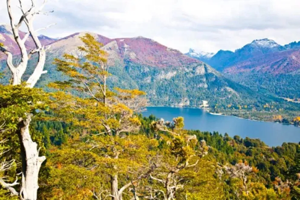 La UNCo pone en marcha Maestría en Gestión de la Diversidad.