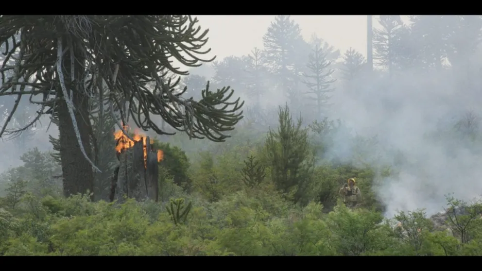 Una escena de Brigadistas, una película que muestra lo que implica combatir el fuego.